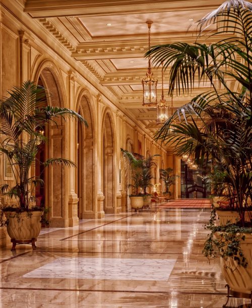 lobby, hotel, interior-398845.jpg